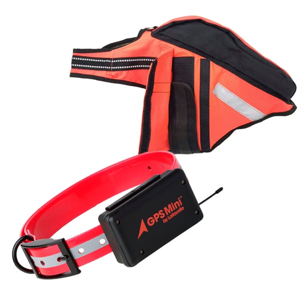 Lafayette GPS C2 GSM/ LTE + Kardog RAIPE (Isolla GPS-taskulla)