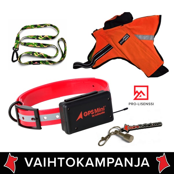 Lafayette C2 vaihtokampanja + Kardog Jehu
